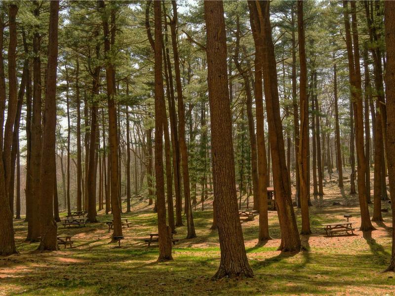 sudoku weekend challenge screenshot 4