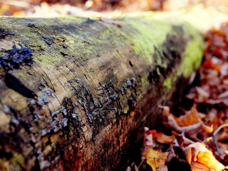 sudoku weekend challenge