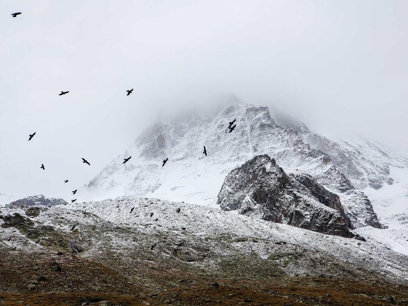 sudoku weekend challenge screenshot 6